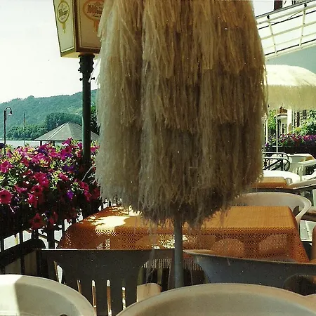 Πανδοχείο Zur Traube 3*