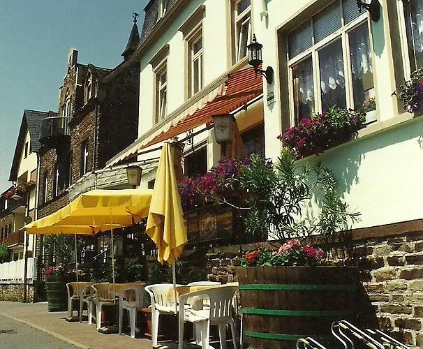 Zur Traube 여관 3*